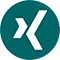 xing profil